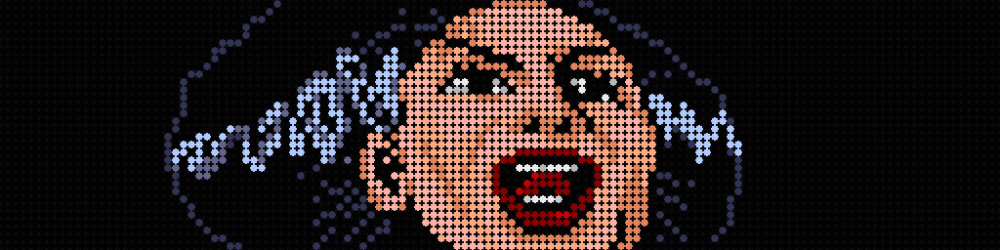 Pin2DMD XL - HD 256x64 Full Kit